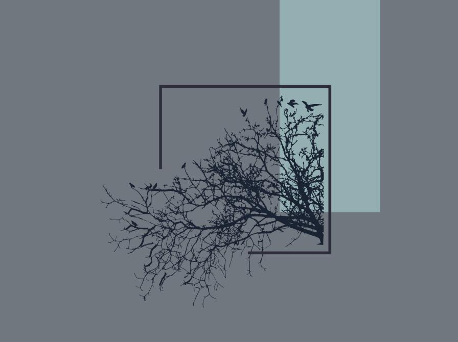 stregtegning af grene med sorte fugle